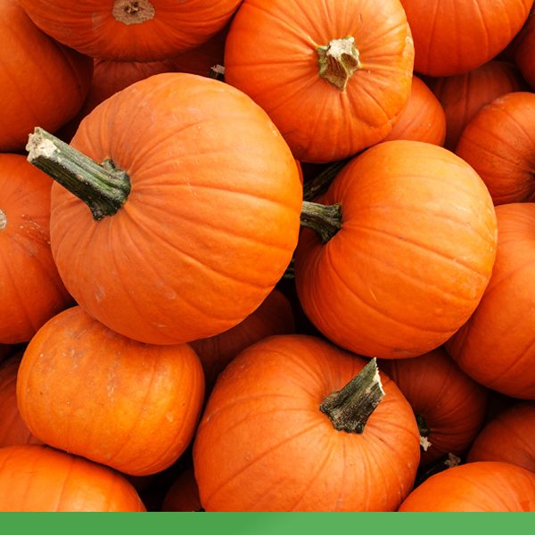 Pumpkin