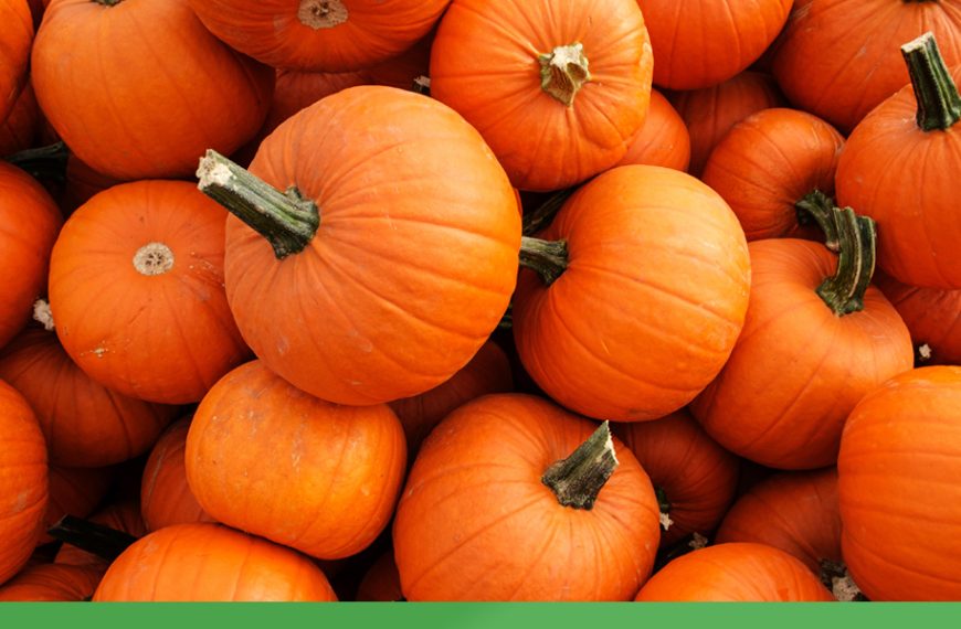 Pumpkin
