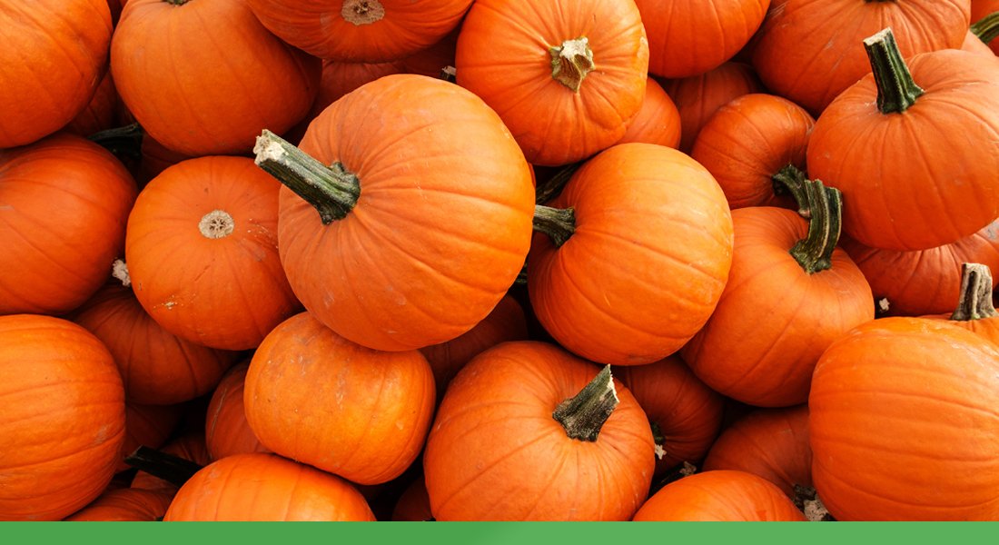 5 Benefits of Pumpkin