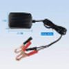 D8 - 12VDC Charger