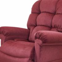 Close up of Biscuit Back